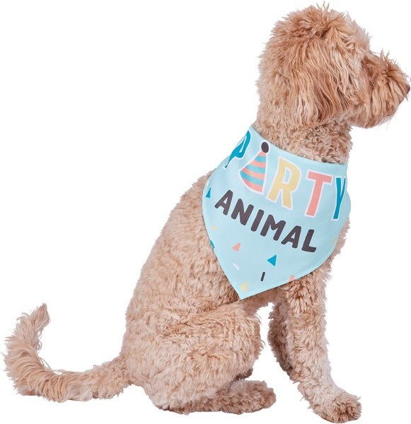 Frisco Party Animal Dog and Cat Bandana