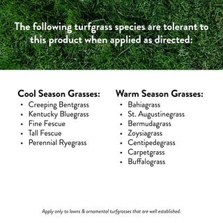 GreenView 40.5 lbs. Crabgrass Control Plus Lawn Food Covers 15000 sq. ft. (26-0-4) 2131179