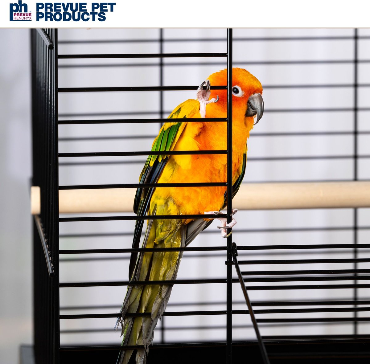 Prevue Pet Products Bird Cage