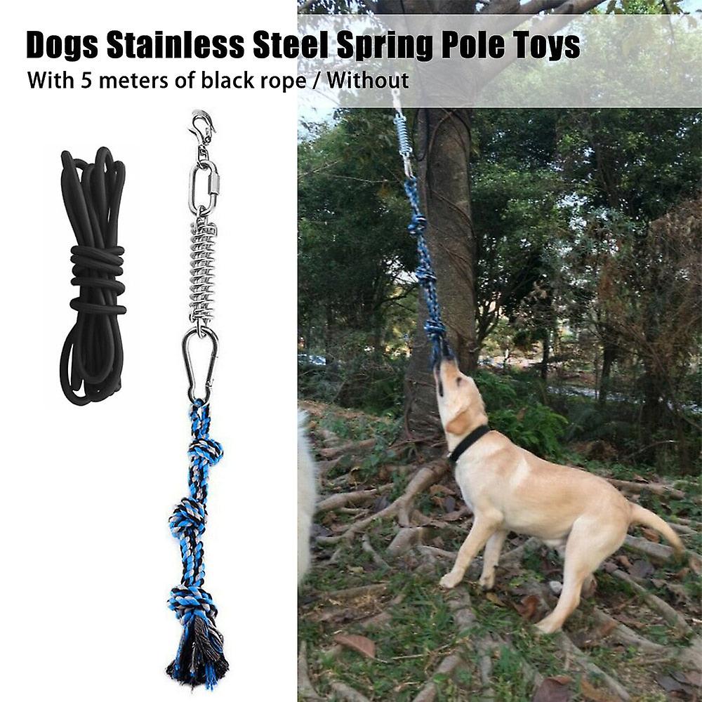 Spring pole dog rope toy