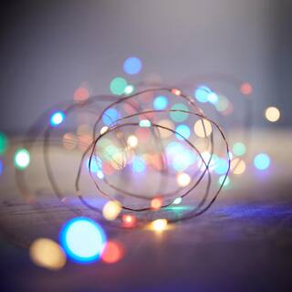 Hampton Bay OutdoorIndoor 33 ft. 3 AA Battery Operated Copper Wire LED Fairy String Light Color Changing EY01-C100-A1