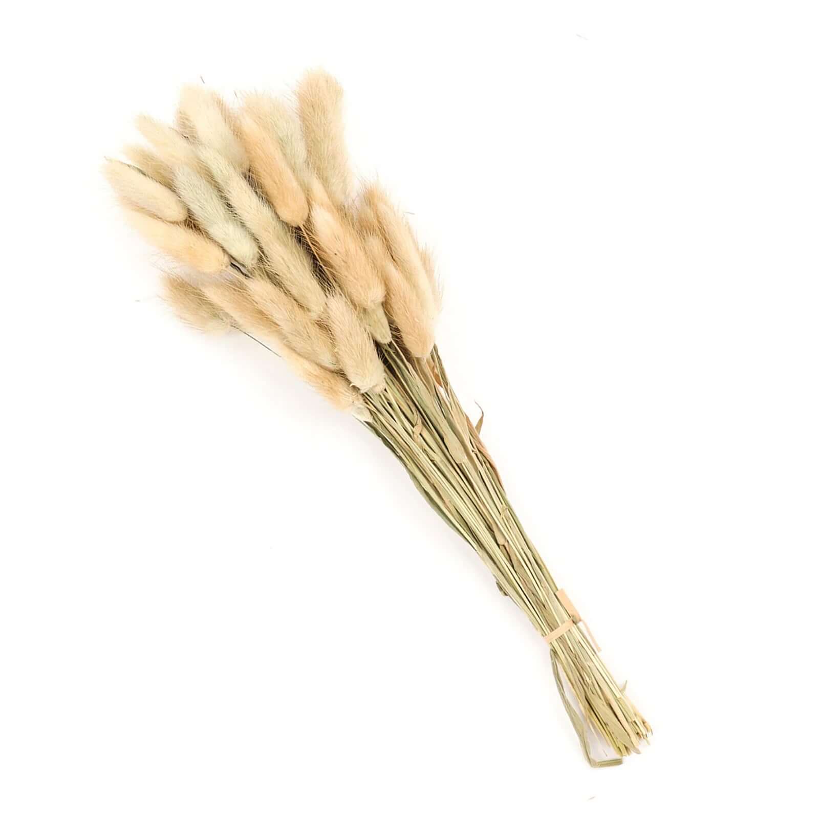 50 Pack Natural Rabbit Tail Dried Pampas Grass Flower Bouquets, Boho Stem Arrangements 15