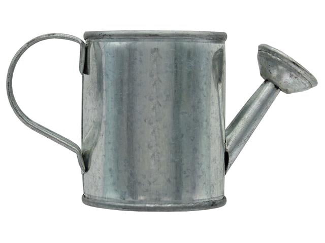 Darice Watering Can 2.25