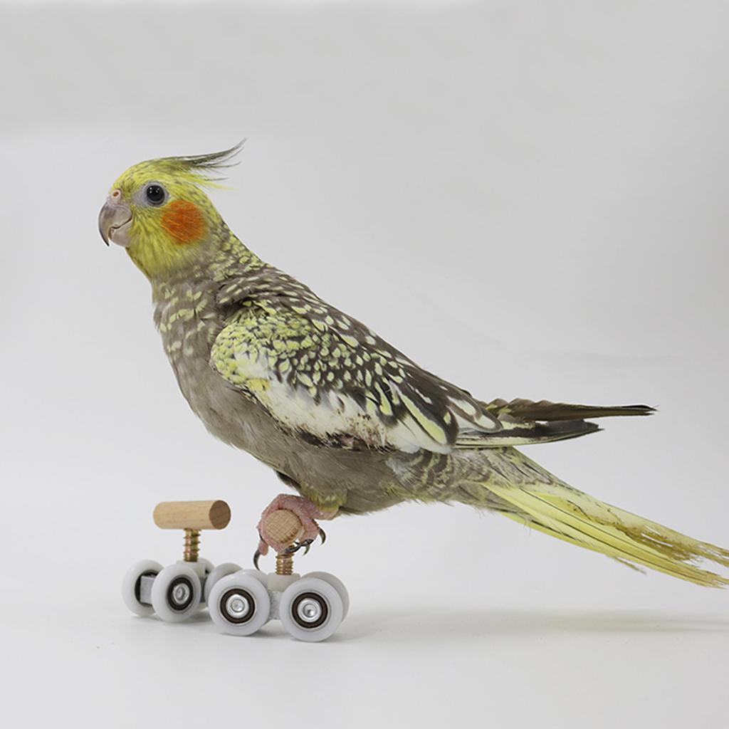 Small Parrots Trick Roller Skates Adjustable Pet Birds Playground Small