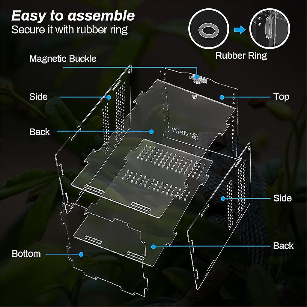 Reptile Feeding Box Acrylic Terrarium Containers For Spider Lizard Frog Beetle