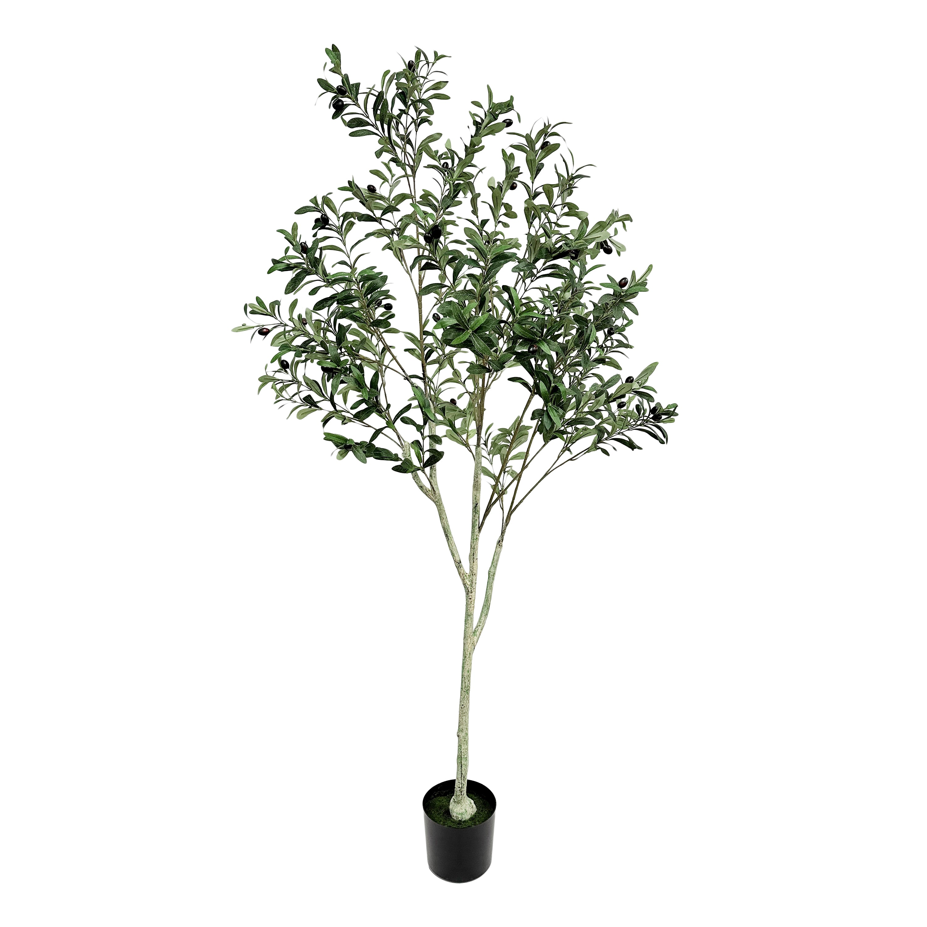 Atoka Artificial Olive Tree