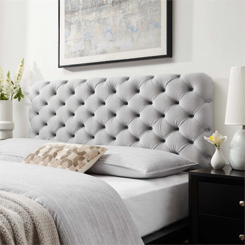 Modway Lizzy Tufted Full/Queen Performance Velvet Headboard in Light Gray   Transitional   Headboards   by Homesquare  Houzz