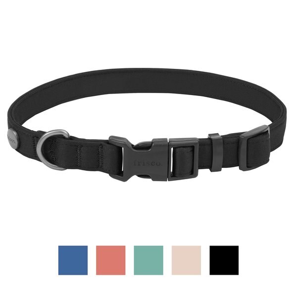 Frisco Comfort Padded Dog Collar