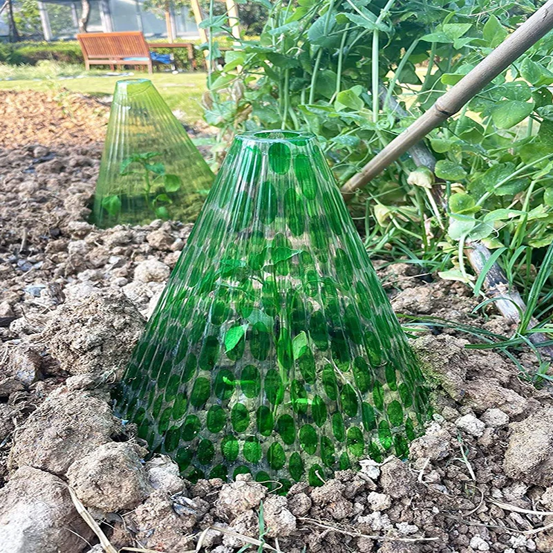 PET PVC Plastic Premium Transparent Green Bell Plant Cloche for mini greenhouse garden plant care with Vent Top