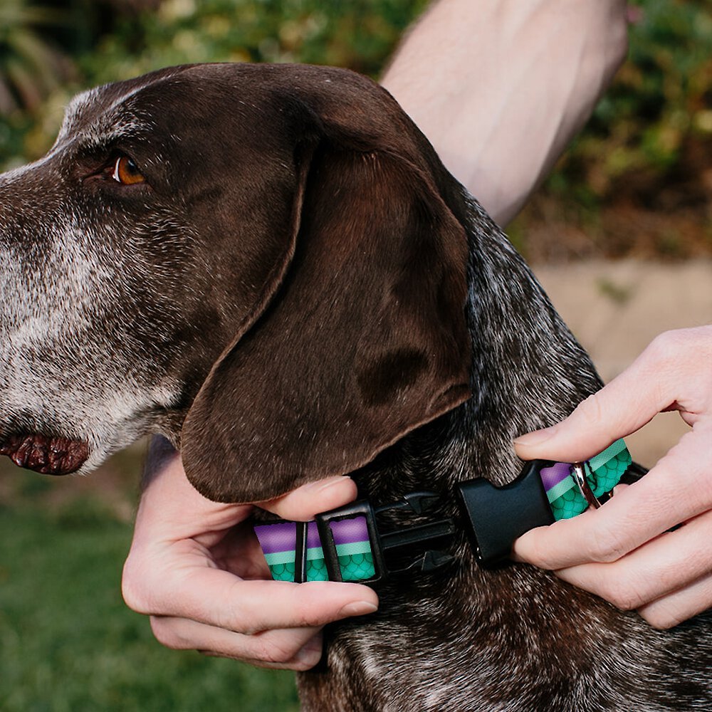 Buckle-Down Disney Little Mermaid Stripe and Shell Polyester Personalized Dog Collar