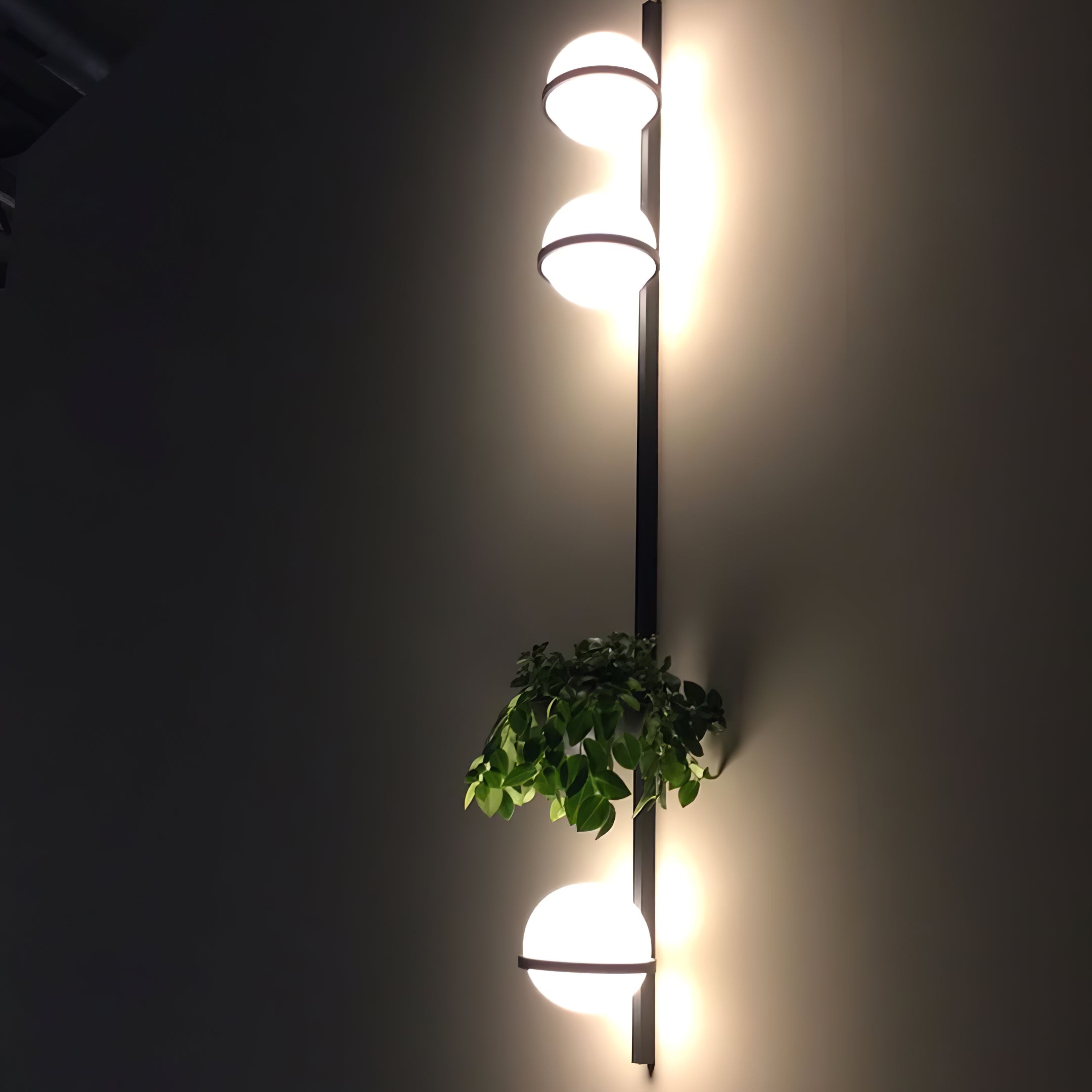 Solstice Outdoor Wall Light