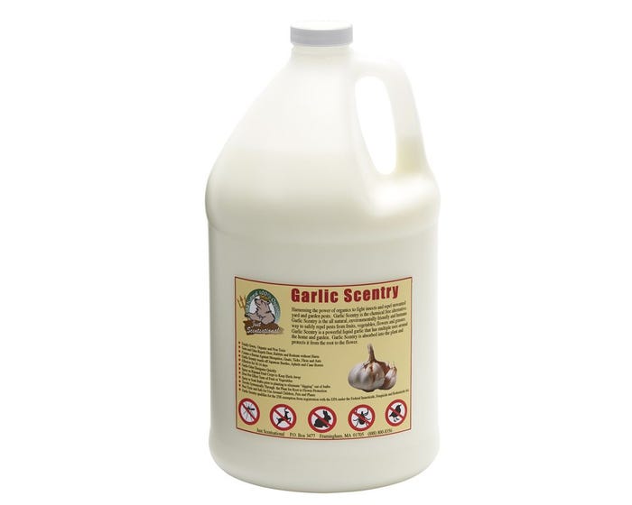 Bare Ground Just Scentsational Garlic Scentry Concentrate 1gal - GCS-128