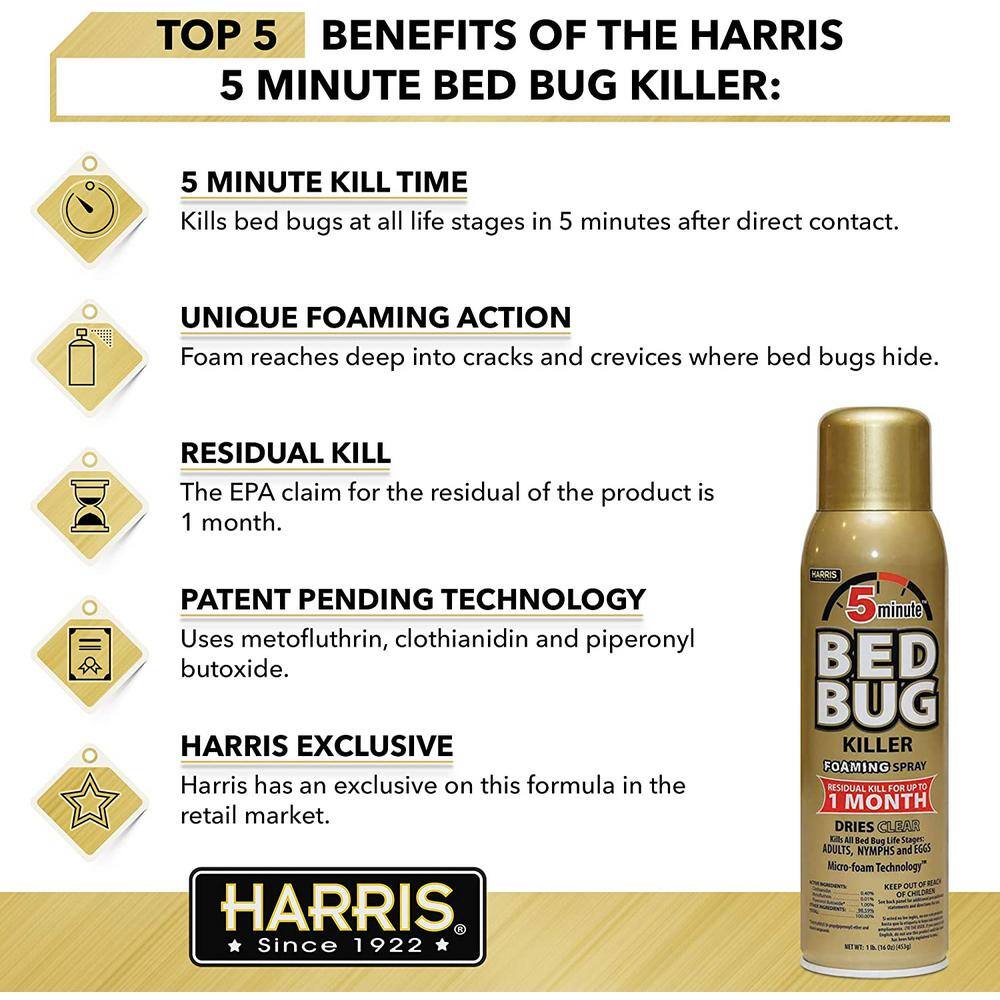 Harris 16 oz. 5-Minute Bed Bug Killer Foaming SprayKills All Life Stages (3-Pack) 3GOLDBB-16A