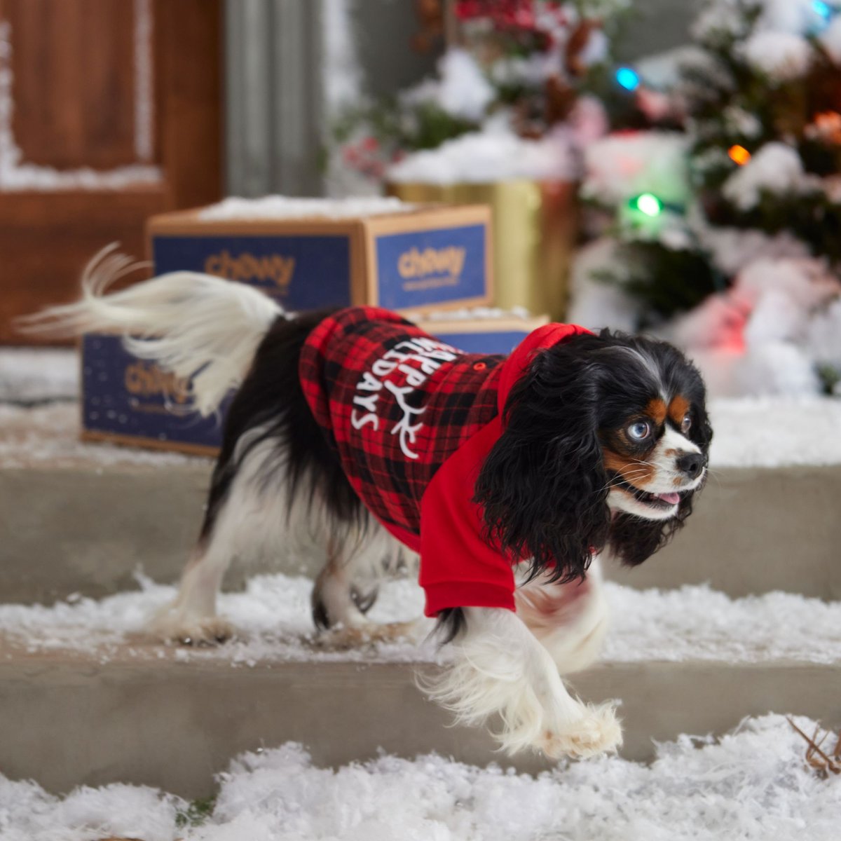 Frisco Happy Holidays Dog and Cat Hoodie