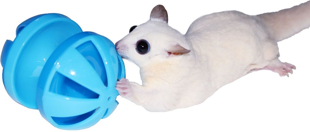 Exotic Nutrition Push and Play Small Animal Toy