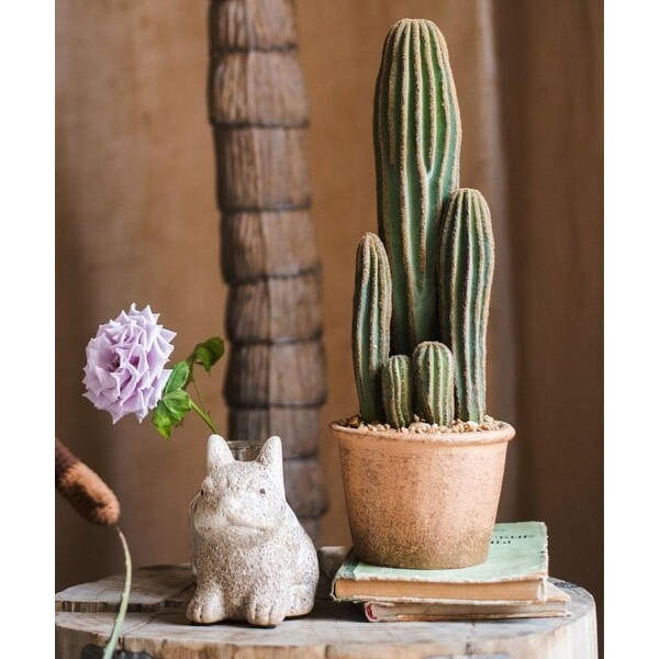 RusticReach Artificial Cactus in Brown Pot