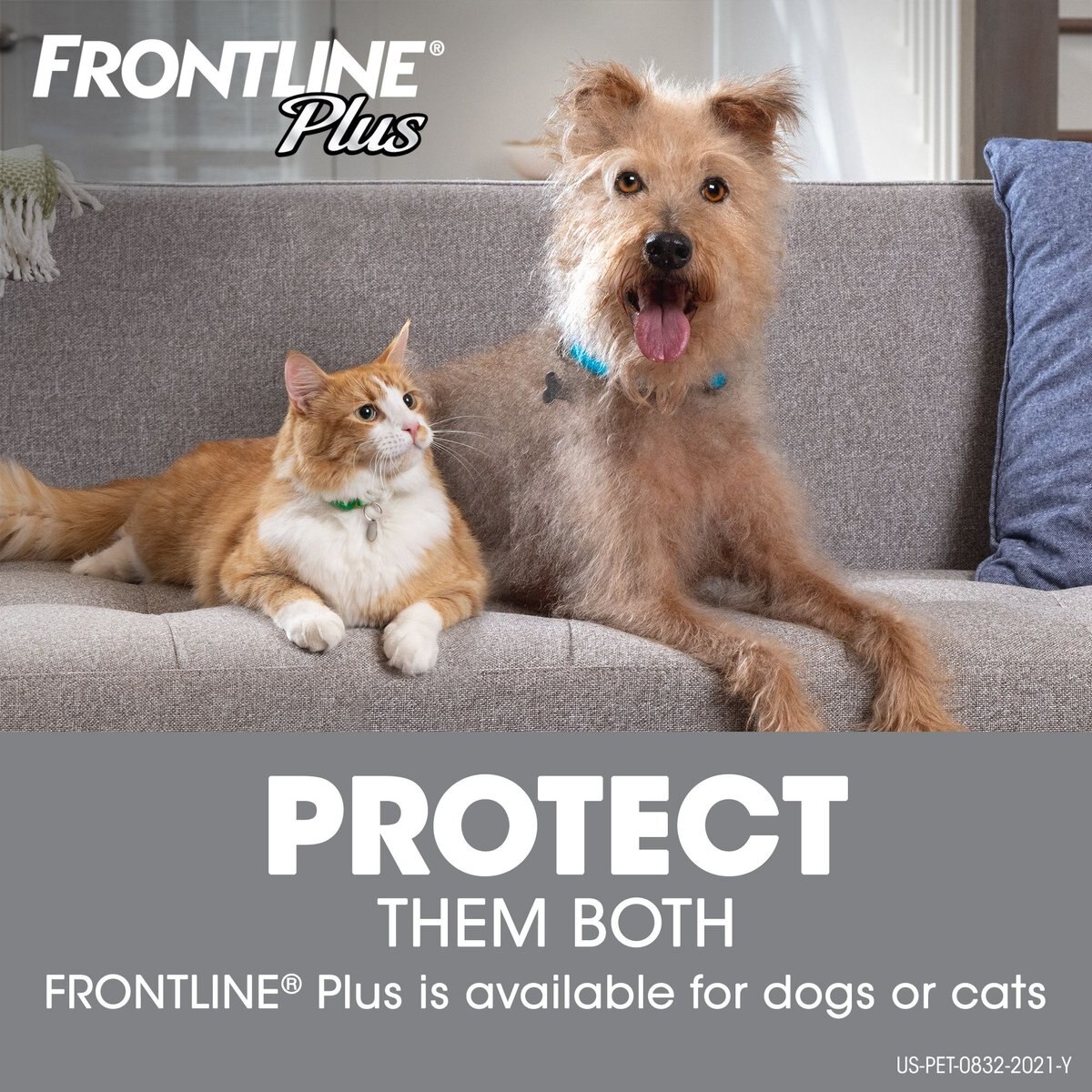 Frontline Plus Flea and Tick Spot Treatment for Small Dogs， 5-22 lbs