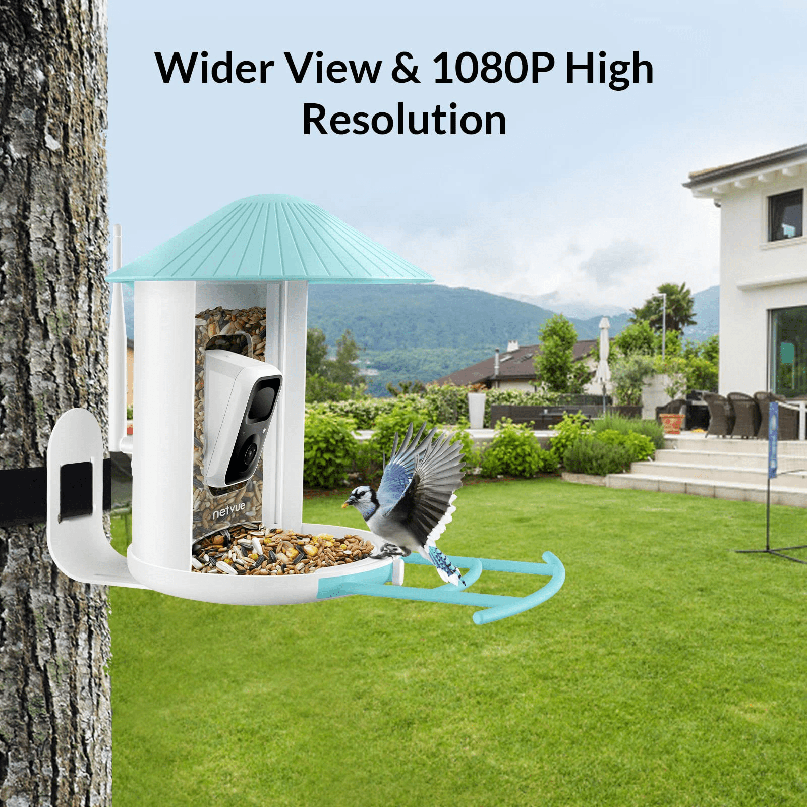 Bird Feeder with Camera， Netvue Birdfy Smart Bird Feeder with Phone App AI Identify Bird Species Night Vision for Bird Watching， Gift Ideas for Moms， Hopper Feeder， Blue (Birdfy AI+Solar)