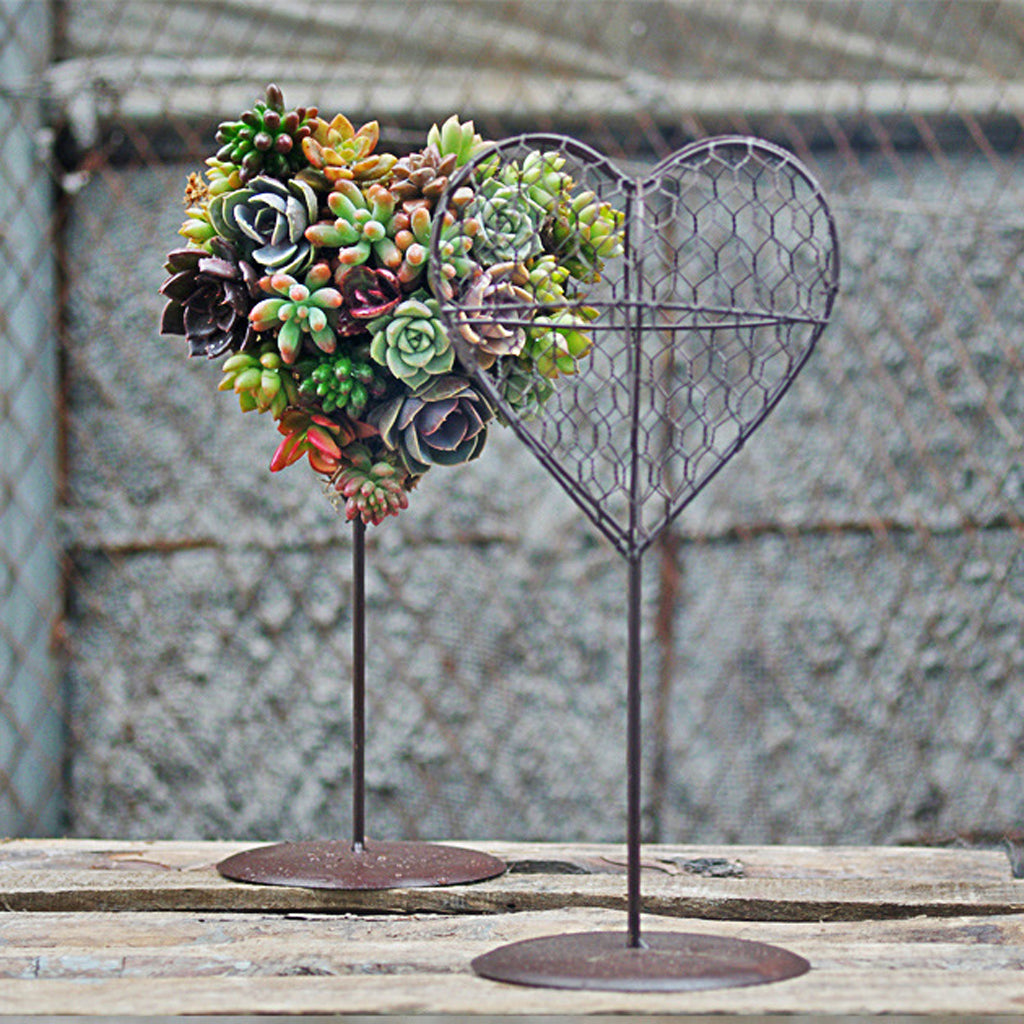 Heart Succulent Pot Standing Planter Plant Holder Basket Made of Wire