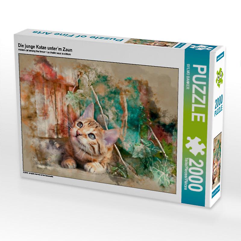 Die junge katze unter′m zaun   calvendo foto puzzle