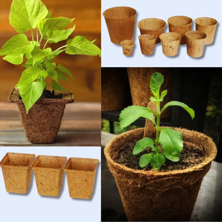 HOT SELLING Natural Coconut Coir Fiber Pots for Gardening 99 GOLD DATA AT Good PRICE