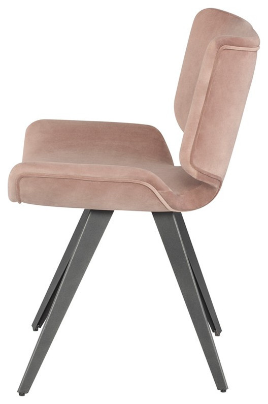 Jadon Dining Chair   Modern   Dining Chairs   by V.S.D Furniture  Houzz