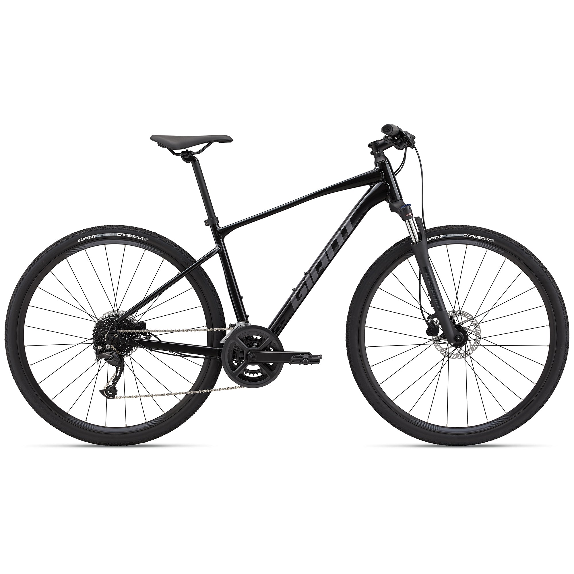 2022 Giant Roam 2