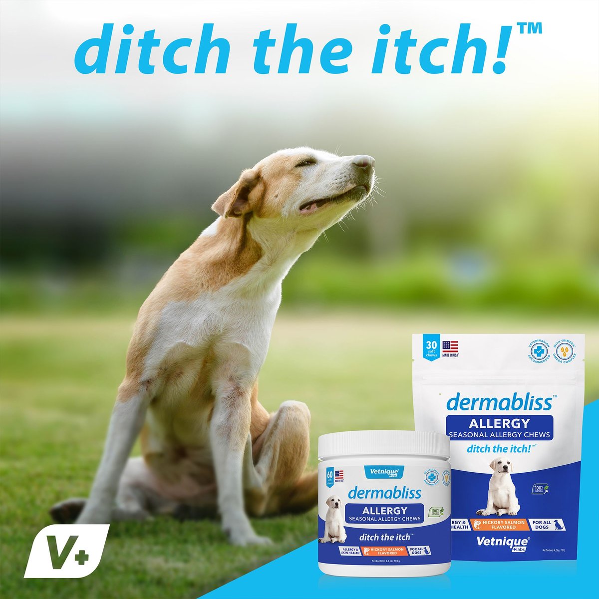 Vetnique Labs Dermabliss Allergy and Immune Salmon Flavored Seasonal Allergy and Fish Oil Soft Chew Supplement for Dogs