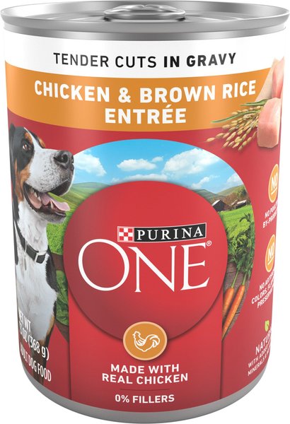 Purina ONE SmartBlend Tender Cuts in Gravy Chicken and Brown Rice Entree Adult Canned Dog Food