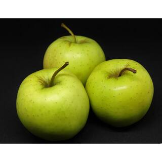 Online Orchards 3 ft. Golden Delicious Apple Tree with Honeyed Sweet Light Gold Fruit FTAP208