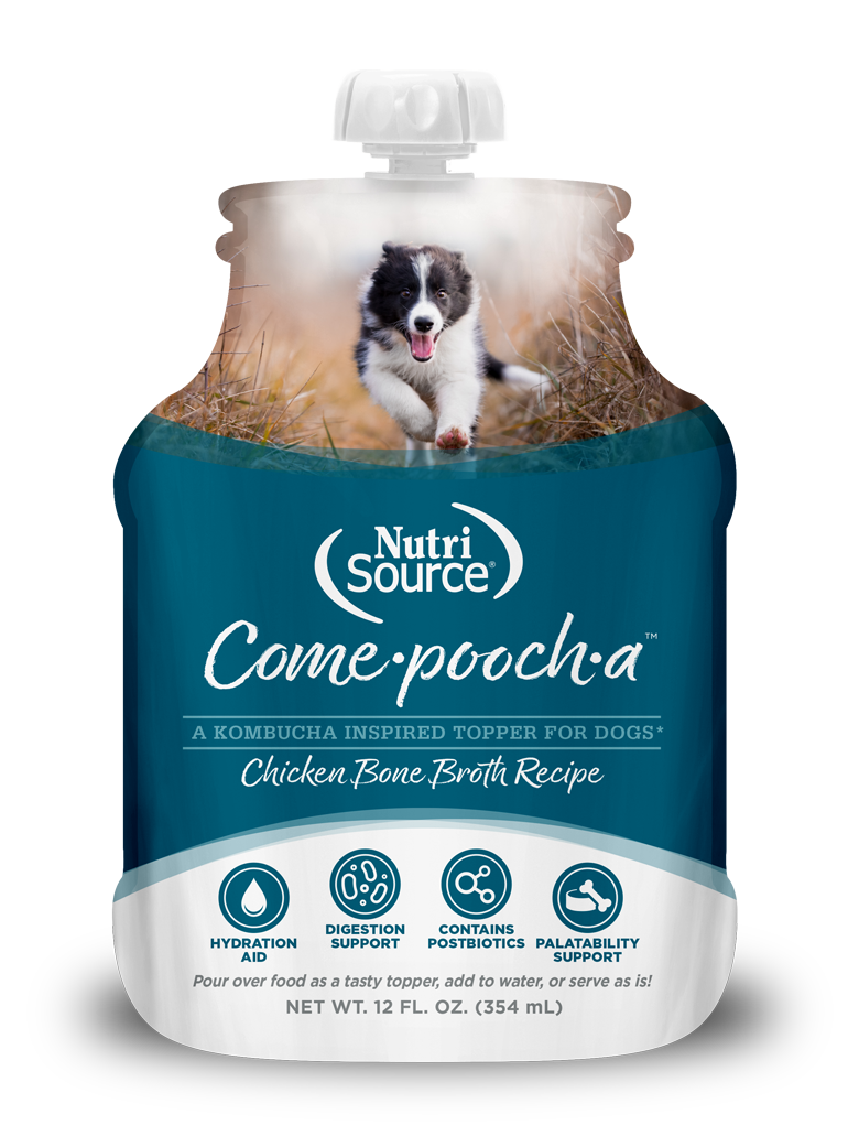 Nutrisource Come-pooch-a Chicken Bone Broth With Postbiotics for Dogs