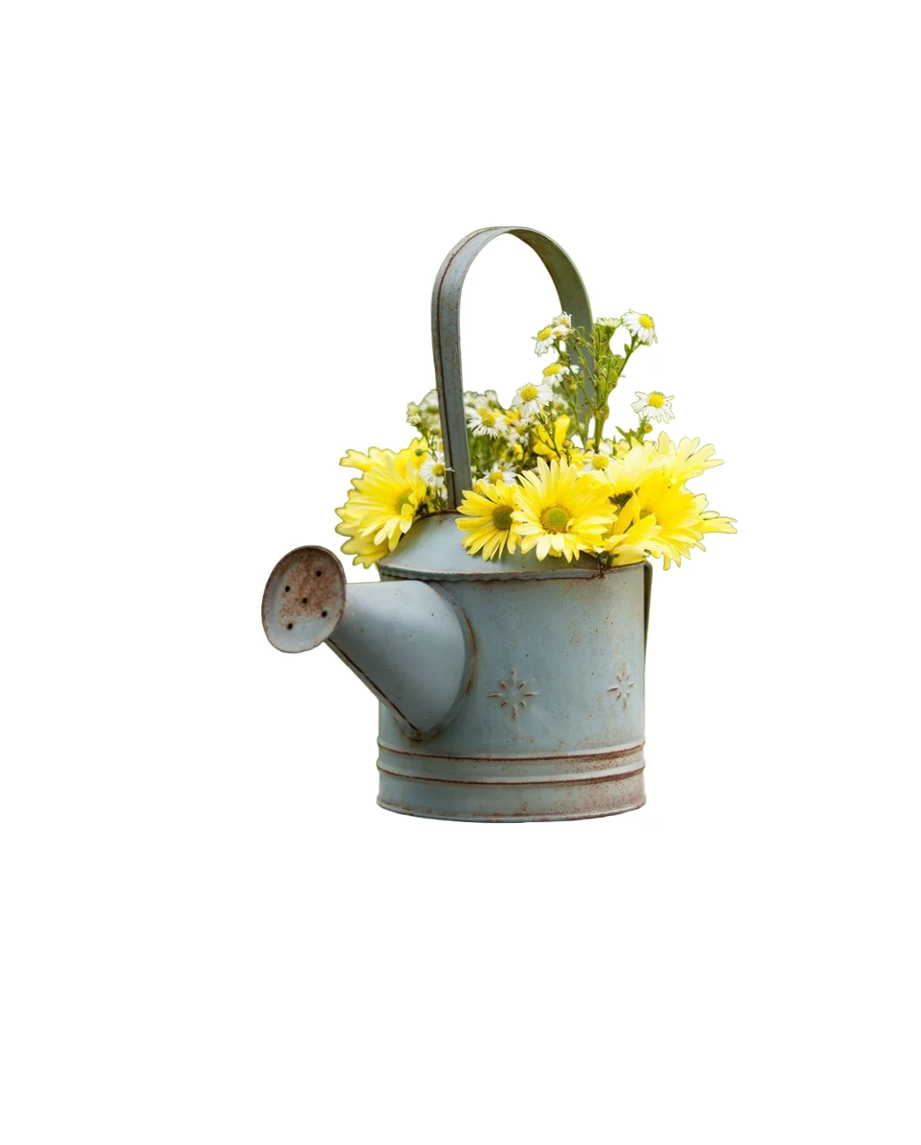 Tin Plants Watering Can Best Selling Watering Can Gardening Supplies Water Storage Dispenser Indoor And Outdoor Plants Growth