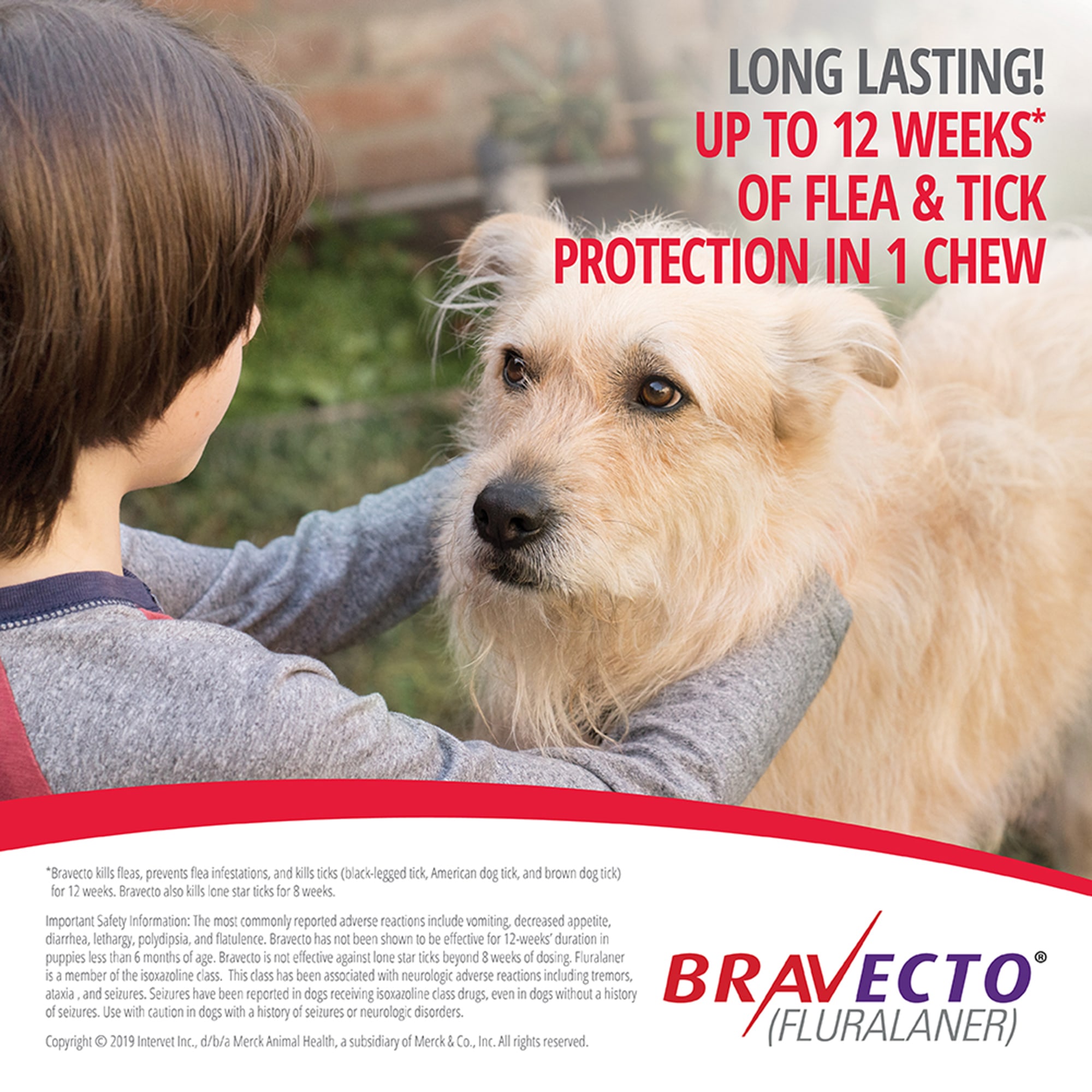 Bravecto Chews For Dogs 44-88 Lbs， 3 Month Supply  | Large Dogs， Bravecto Chewable， Bravecto Tablets， Bravecto Pill For Dogs