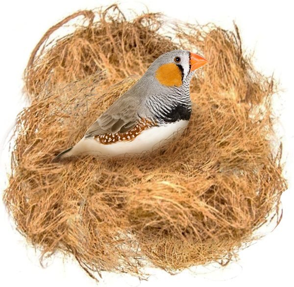 SunGrow Bird Nesting Coconut Fiber， Bedding Material for Parakeet and Finch Nest Box