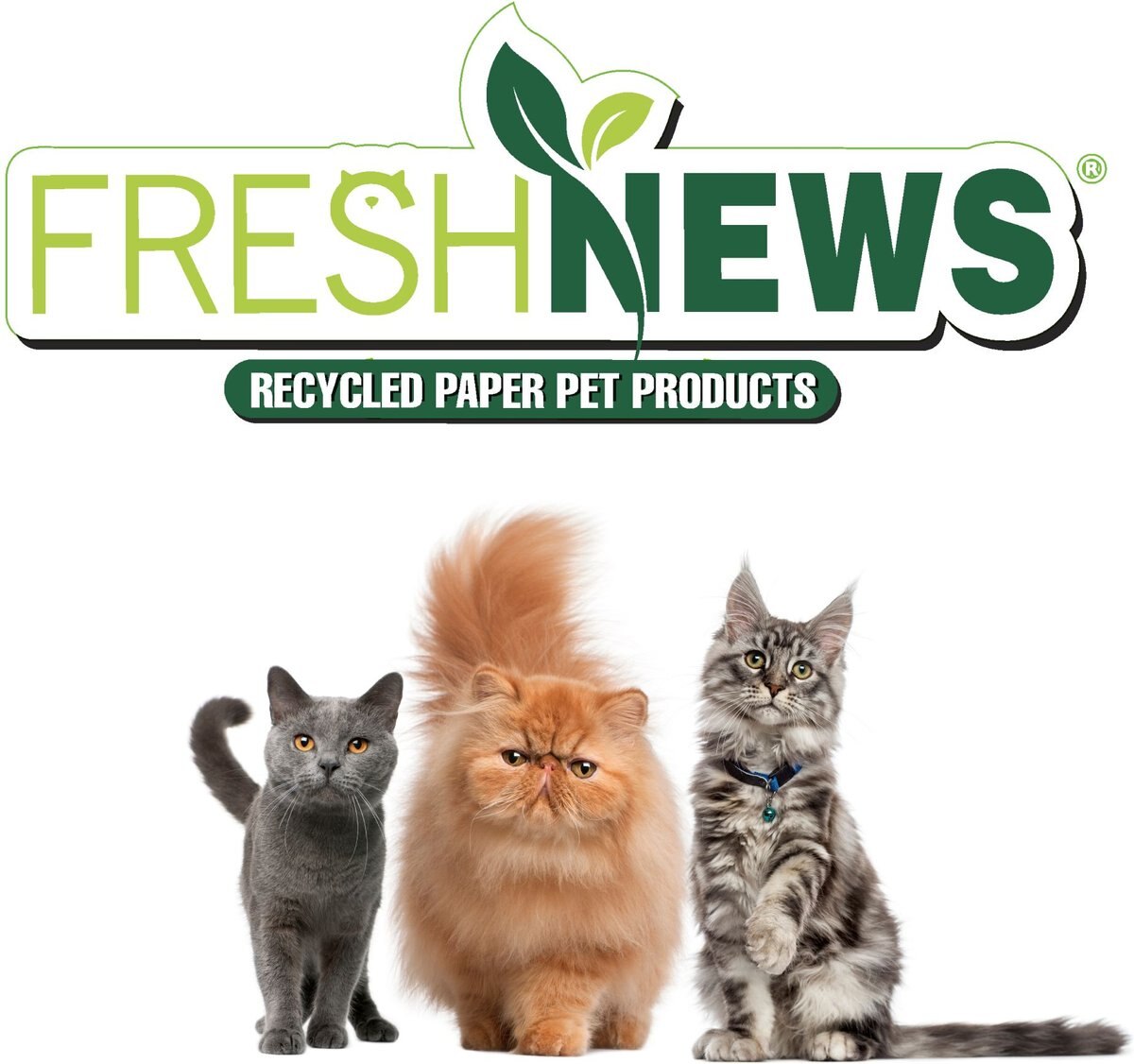 Fresh News Non-Clumping Scented Paper Cat Litter， 25-lb bag