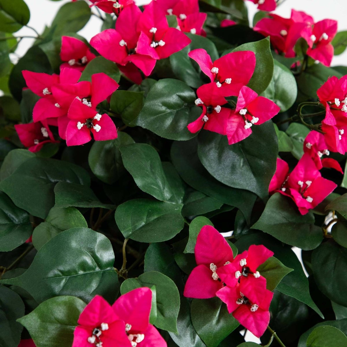 5’ Mini Bougainvillea Topiary | Elegant Faux Floral Décor