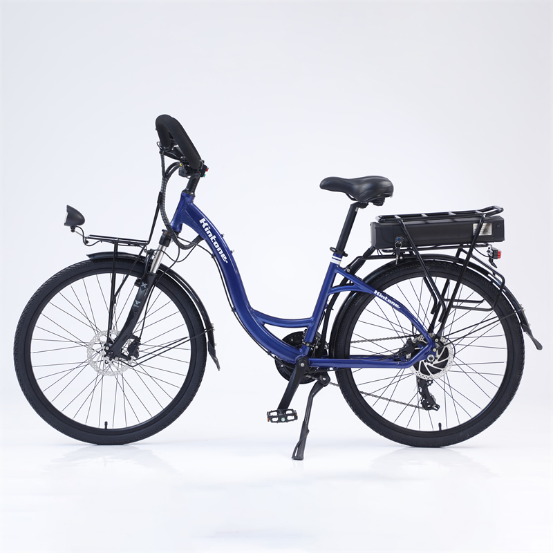 foldable  48V 1000W Exercise ebike electric cycle 26 inch 2 wheel fat cheap battery dual motor