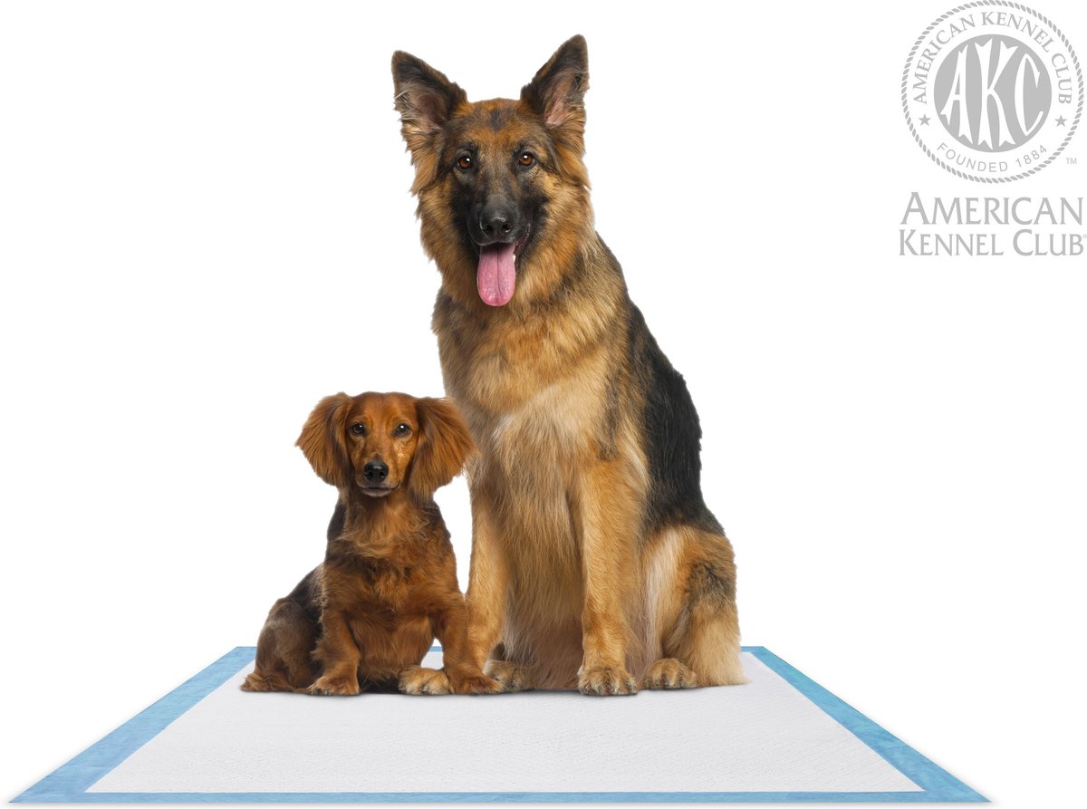 American Kennel Club AKC Dog Training Pads， 28 x 34-in， Fresh Scented