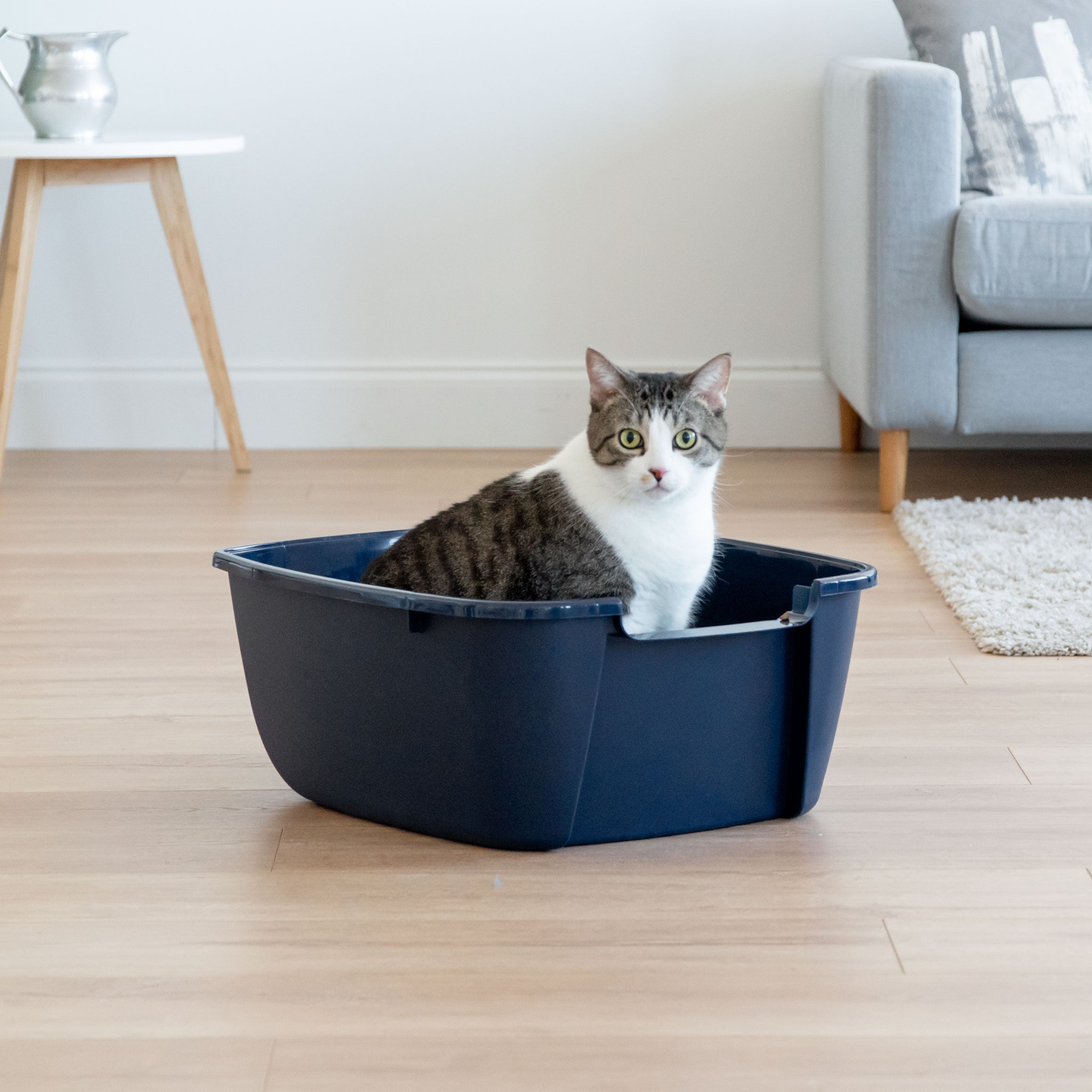 IRIS Jumbo Litter Box with Scoop， Navy