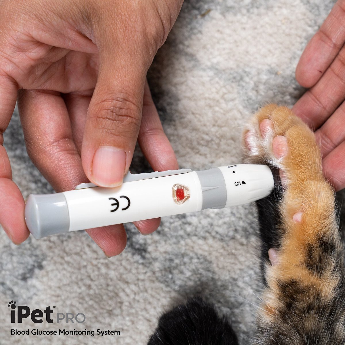 iPet PRO Ulti-Thin Sterile Lancets for Dogs and Cats， 28-Gauge