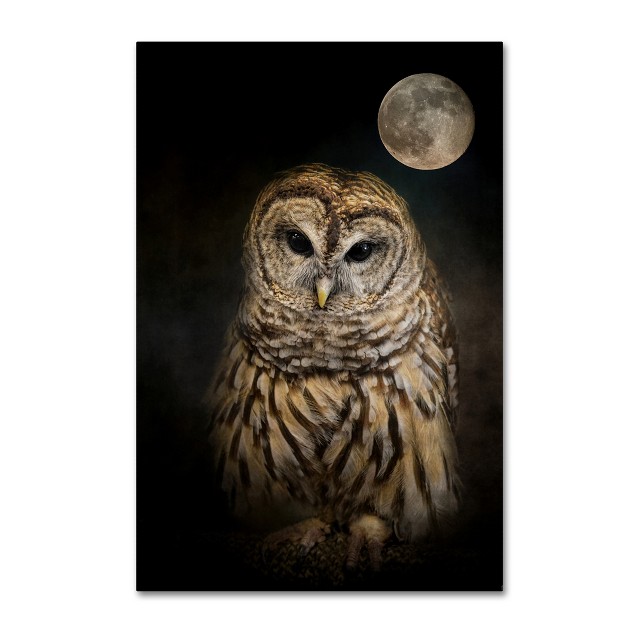 Trademark Fine Art jai Johnson x27 barred Owl And The Moon x27 Canvas Art