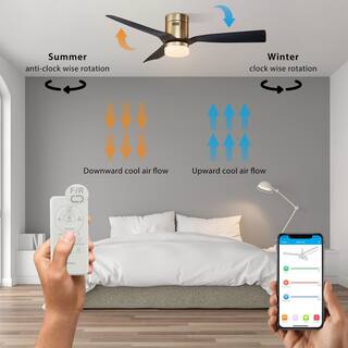 CARRO Striver 52 in. IndoorOutdoor Gold Smart Ceiling Fan Dimmable LED Light and Remote Works with AlexaGoogle HomeSiri S523P-L12-G2-1-FM