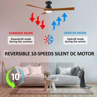 CARRO Antrim 52 in. Integrated LED IndoorOutdoor Black Smart Ceiling Fan with Light and Remote Works with AlexaGoogle Home HS523A2-L12-BM2-1-FM