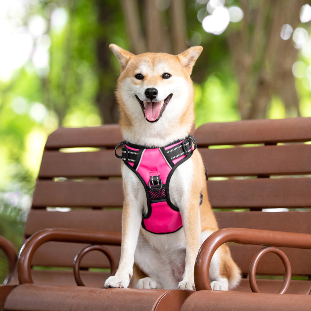 PoyPet No Pull Dog Harness，No Choke Reflective Dog Vest，Adjustable Soft Padded Pet Harness with Easy Control Handle for Small Medium Large Dogs，Pink M