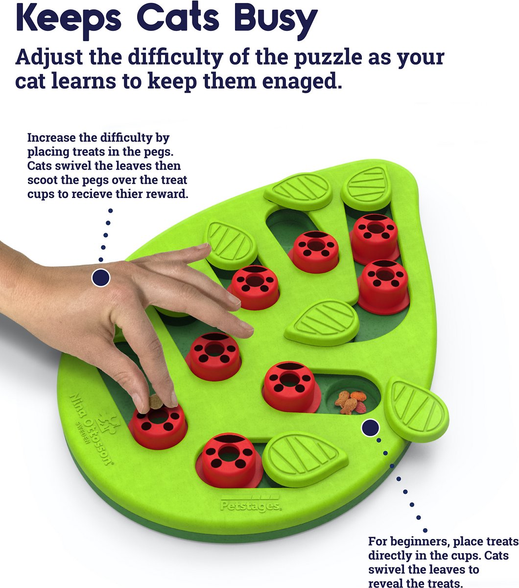 Petstages Buggin' Out Puzzle and Play Cat Toy