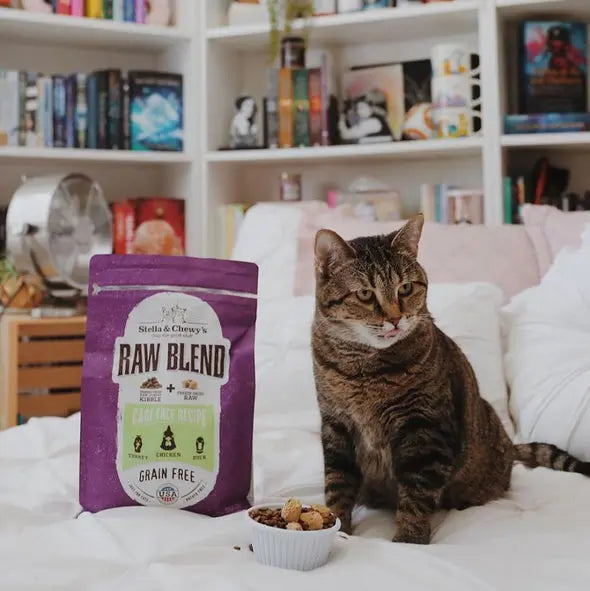 Stella and Chewy Raw Blend Kibble Cage Free Poultry Recipe Dry Cat Foo;