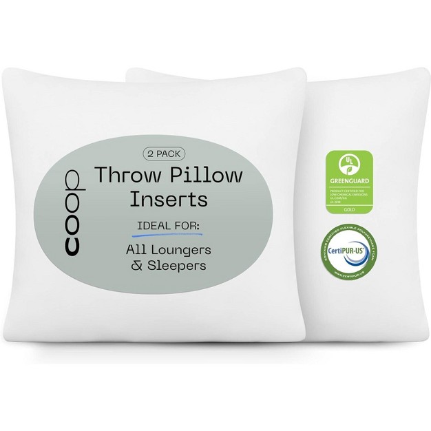 Coop Home Goods Set Of 2 Decorative Throw Pillows Inserts Memory Foam Fill Machine Washable Perfect For Sofa Bed Living Room Bedroom