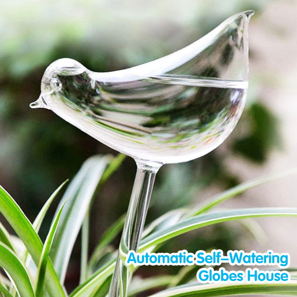 HOTBEST Watering Aqua Globes Plant Automatic Watering Bulbs Bird Glass Automatic Plant Waterer HaBlown Clear Glass (6Pcs)