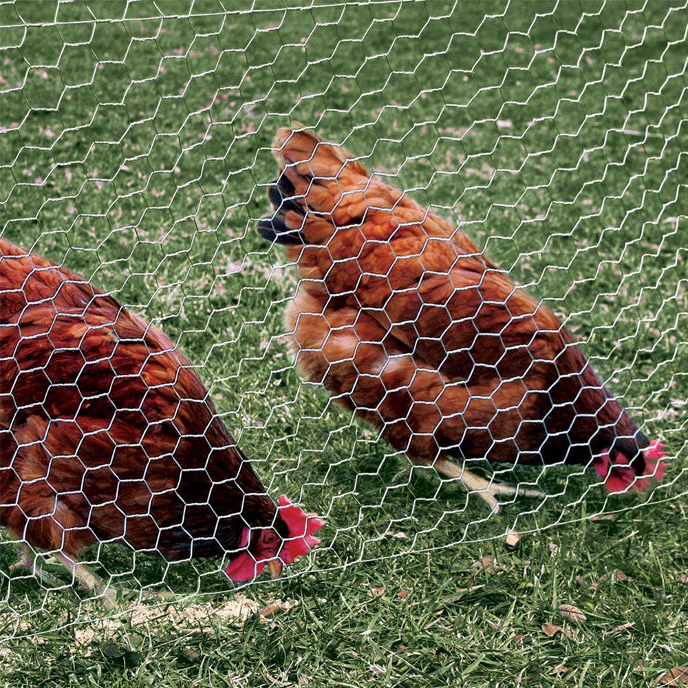 YARDGARD 36 in. x 25 ft. Poultry Netting/Chicken Wire with 1 in. Mesh