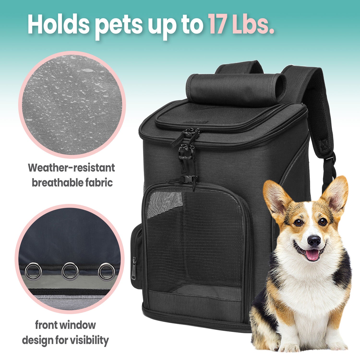 Critter Sitters Black Pet Backpack for Small Dogs， Cats with Scratch Resistant Breathable Mesh Windows | Airline Carry-On Approved | Safety Leash | Storage Pockets | Durable Transporation for Animals